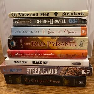 High school level reading book bundle